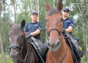 Policja na koniach 1