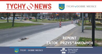 Wadliwie wykonane zatoki przystankowe zostały naprawione.