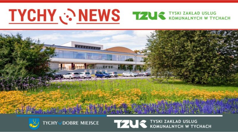 Nowa zielona przestrzeń i dodatkowe miejsca parkingowe koło Teatru Małego.