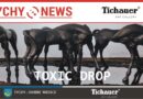 TOXIC DROP – wystawa obiektów rzeźbiarskich oraz instalacji Pauliny Domagalskiej i Szymona Motyla.